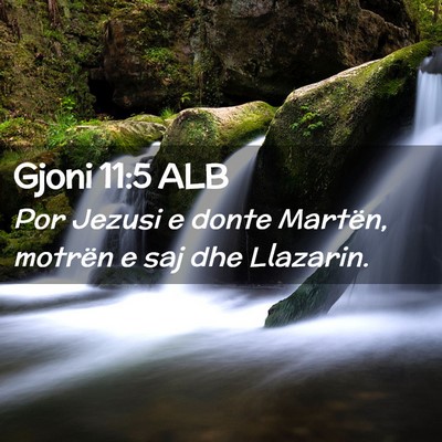 Picture 02 - Gjoni 11:5 ALB - Por Jezusi e donte Martën, motrën e saj dhe - Bible Verse Picture