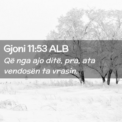 Picture 02 - Gjoni 11:53 ALB - Që nga ajo ditë, pra, ata vendosën ta - Bible Verse Picture