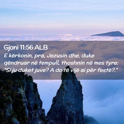 Picture 02 - Gjoni 11:56 ALB - E kërkonin, pra, Jezusin dhe, duke qëndruar në - Bible Verse Picture