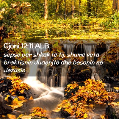 Picture 02 - Gjoni 12:11 ALB - sepse për shkak të tij, shumë veta braktisnin - Bible Verse Picture