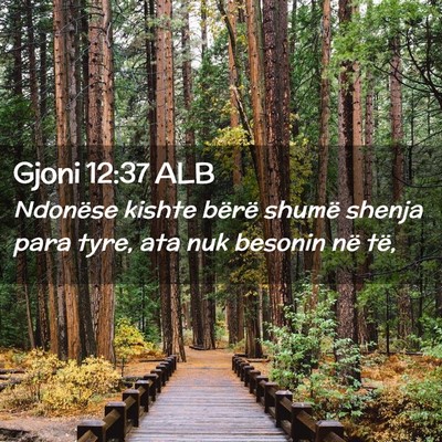 Picture 02 - Gjoni 12:37 ALB - Ndonëse kishte bërë shumë shenja para tyre, - Bible Verse Picture