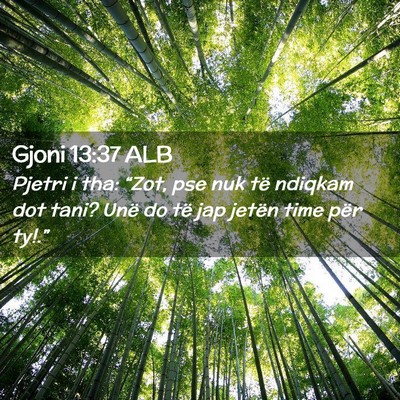 Picture 02 - Gjoni 13:37 ALB - Pjetri i tha: “Zot, pse nuk të ndiqkam dot - Bible Verse Picture