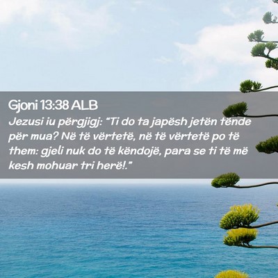 Picture 02 - Gjoni 13:38 ALB - Jezusi iu përgjigj: “Ti do ta japësh jetën - Bible Verse Picture