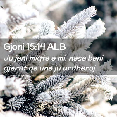 Picture 02 - Gjoni 15:14 ALB - Ju jeni miqtë e mi, nëse bëni gjërat që unë - Bible Verse Picture