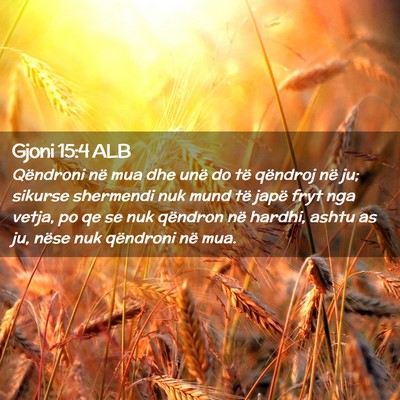 Picture 02 - Gjoni 15:4 ALB - Qëndroni në mua dhe unë do të qëndroj në - Bible Verse Picture