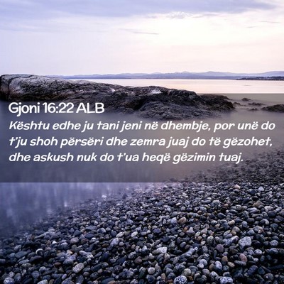 Picture 02 - Gjoni 16:22 ALB - Kështu edhe ju tani jeni në dhembje, por unë - Bible Verse Picture