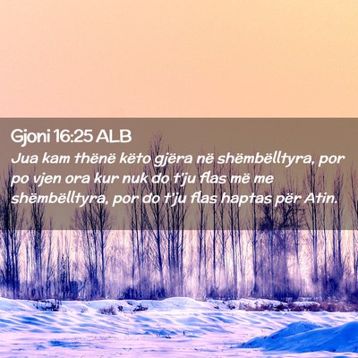 Picture 02 - Gjoni 16:25 ALB - Jua kam thënë këto gjëra në shëmbëlltyra, - Bible Verse Picture