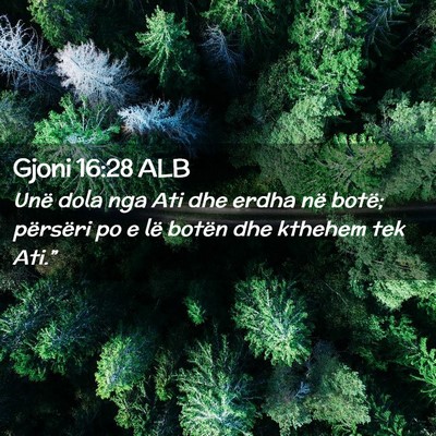 Picture 02 - Gjoni 16:28 ALB - Unë dola nga Ati dhe erdha në botë; përsëri - Bible Verse Picture