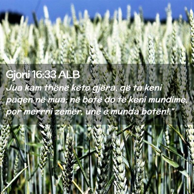 Picture 02 - Gjoni 16:33 ALB - Jua kam thënë këto gjëra, që ta keni paqen - Bible Verse Picture