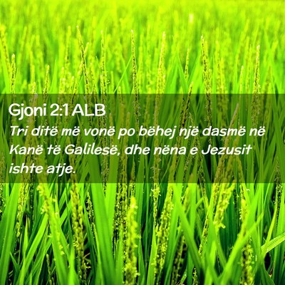 Picture 02 - Gjoni 2:1 ALB - Tri ditë më vonë po bëhej një dasmë në - Bible Verse Picture