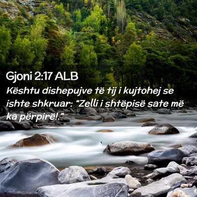 Picture 02 - Gjoni 2:17 ALB - Kështu dishepujve të tij i kujtohej se ishte - Bible Verse Picture