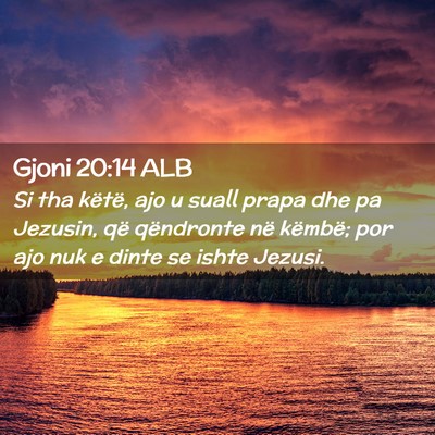 Picture 02 - Gjoni 20:14 ALB - Si tha këtë, ajo u suall prapa dhe pa Jezusin, - Bible Verse Picture