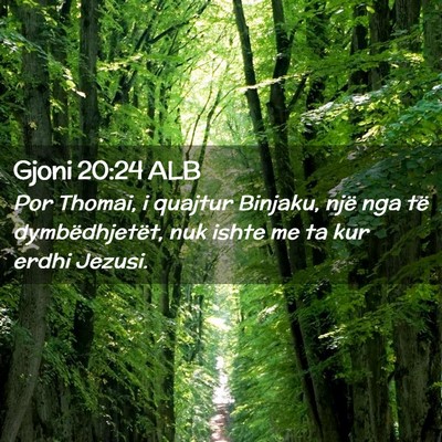 Picture 02 - Gjoni 20:24 ALB - Por Thomai, i quajtur Binjaku, një nga të - Bible Verse Picture