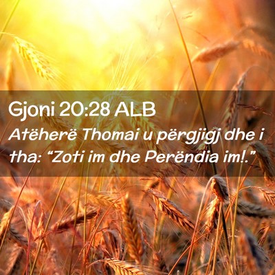 Picture 02 - Gjoni 20:28 ALB - Atëherë Thomai u përgjigj dhe i tha: “Zoti - Bible Verse Picture