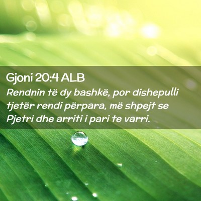 Picture 02 - Gjoni 20:4 ALB - Rendnin të dy bashkë, por dishepulli tjetër - Bible Verse Picture