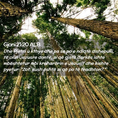 Picture 02 - Gjoni 21:20 ALB - Dhe Pjetri u kthye dhe pa se po e ndiqte - Bible Verse Picture