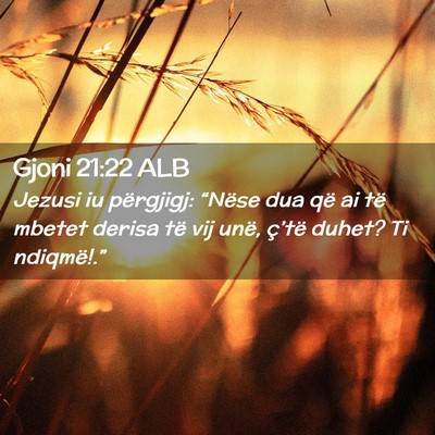 Picture 02 - Gjoni 21:22 ALB - Jezusi iu përgjigj: “Nëse dua që ai të - Bible Verse Picture