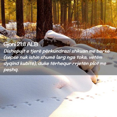 Picture 02 - Gjoni 21:8 ALB - Dishepujt e tjerë përkundrazi shkuan me barkë - Bible Verse Picture