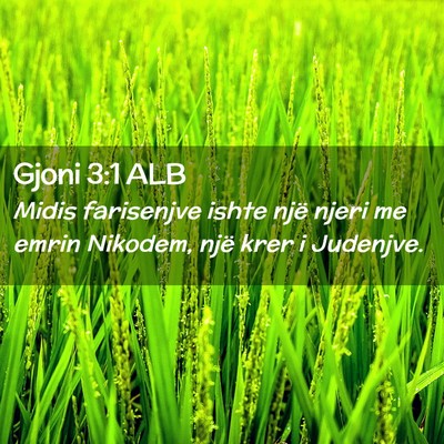 Picture 02 - Gjoni 3:1 ALB - Midis farisenjve ishte një njeri me emrin - Bible Verse Picture
