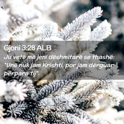 Picture 02 - Gjoni 3:28 ALB - Ju vetë më jeni dëshmitarë se thashë: 