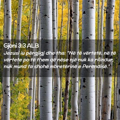 Picture 02 - Gjoni 3:3 ALB - Jezusi iu përgjigj dhe tha: “Në të - Bible Verse Picture