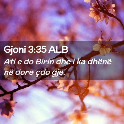 Picture 02 - Gjoni 3:35 ALB - Ati e do Birin dhe i ka dhënë në dorë çdo - Bible Verse Picture