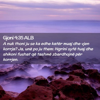 Picture 02 - Gjoni 4:35 ALB - A nuk thoni ju se ka edhe katër muaj dhe vjen - Bible Verse Picture