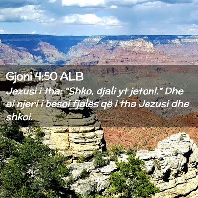 Picture 02 - Gjoni 4:50 ALB - Jezusi i tha: “Shko, djali yt jeton!.” Dhe ai - Bible Verse Picture