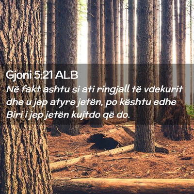Picture 02 - Gjoni 5:21 ALB - Në fakt ashtu si ati ringjall të vdekurit dhe u - Bible Verse Picture