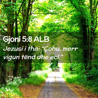 Picture 02 - Gjoni 5:8 ALB - Jezusi i tha: “Çohu, merr vigun tënd dhe - Bible Verse Picture
