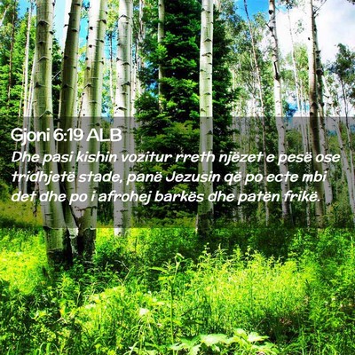 Picture 02 - Gjoni 6:19 ALB - Dhe pasi kishin vozitur rreth njëzet e pesë ose - Bible Verse Picture