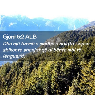 Picture 02 - Gjoni 6:2 ALB - Dhe një turmë e madhe e ndiqte, sepse shikonte - Bible Verse Picture