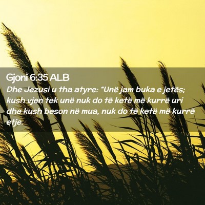 Picture 02 - Gjoni 6:35 ALB - Dhe Jezusi u tha atyre: “Unë jam buka e - Bible Verse Picture