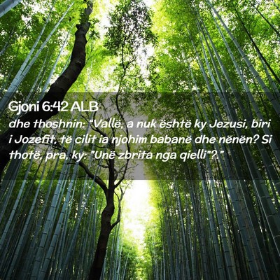Picture 02 - Gjoni 6:42 ALB - dhe thoshnin: “Vallë, a nuk është ky Jezusi, - Bible Verse Picture