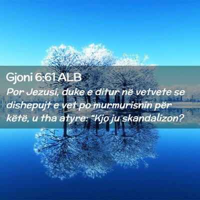 Picture 02 - Gjoni 6:61 ALB - Por Jezusi, duke e ditur në vetvete se dishepujt - Bible Verse Picture