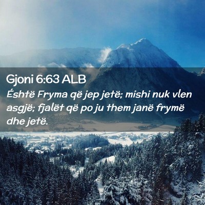 Picture 02 - Gjoni 6:63 ALB - Éshtë Fryma që jep jetë; mishi nuk vlen - Bible Verse Picture