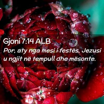 Picture 02 - Gjoni 7:14 ALB - Por, aty nga mesi i festës, Jezusi u ngjit në - Bible Verse Picture