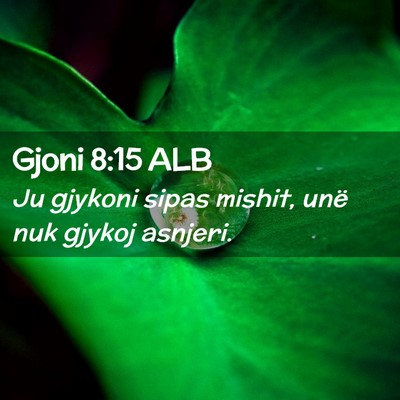 Picture 02 - Gjoni 8:15 ALB - Ju gjykoni sipas mishit, unë nuk gjykoj - Bible Verse Picture