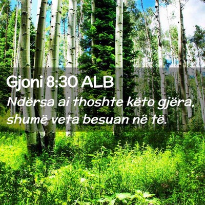 Picture 02 - Gjoni 8:30 ALB - Ndërsa ai thoshte këto gjëra, shumë veta - Bible Verse Picture