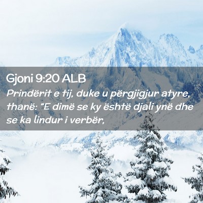 Picture 02 - Gjoni 9:20 ALB - Prindërit e tij, duke u përgjigjur atyre, - Bible Verse Picture