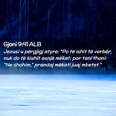 Picture 02 - Gjoni 9:41 ALB - Jezusi u përgjigj atyre: “Po të ishit të - Bible Verse Picture