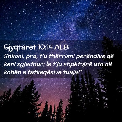 Picture 02 - Gjyqtarët 10:14 ALB - Shkoni, pra, t’u thërrisni perëndive që keni - Bible Verse Picture
