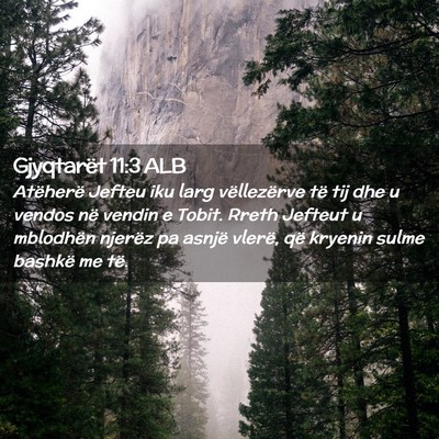 Picture 02 - Gjyqtarët 11:3 ALB - Atëherë Jefteu iku larg vëllezërve të tij - Bible Verse Picture