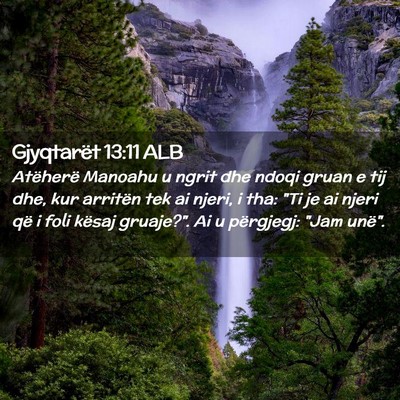 Picture 02 - Gjyqtarët 13:11 ALB - Atëherë Manoahu u ngrit dhe ndoqi gruan e tij - Bible Verse Picture