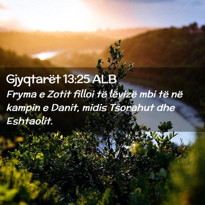Picture 02 - Gjyqtarët 13:25 ALB - Fryma e Zotit filloi të lëvizë mbi të në - Bible Verse Picture