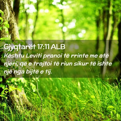 Picture 02 - Gjyqtarët 17:11 ALB - Kështu Leviti pranoi të rrinte me atë njeri, - Bible Verse Picture
