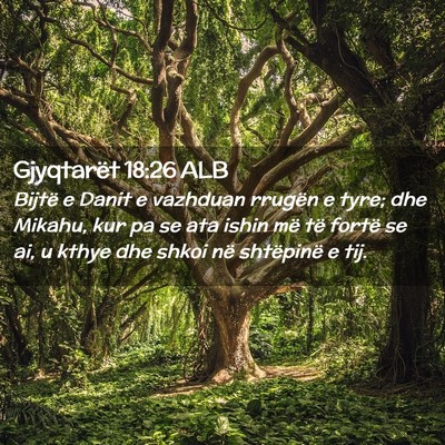 Picture 02 - Gjyqtarët 18:26 ALB - Bijtë e Danit e vazhduan rrugën e tyre; dhe - Bible Verse Picture