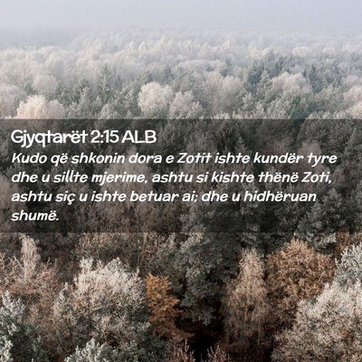 Picture 02 - Gjyqtarët 2:15 ALB - Kudo që shkonin dora e Zotit ishte kundër tyre - Bible Verse Picture