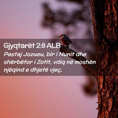 Picture 02 - Gjyqtarët 2:8 ALB - Pastaj Jozueu, bir i Nunit dhe shërbëtor i - Bible Verse Picture