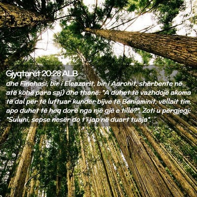 Picture 02 - Gjyqtarët 20:28 ALB - dhe Finehasi, bir i Eleazarit, bir i Aaronit, - Bible Verse Picture